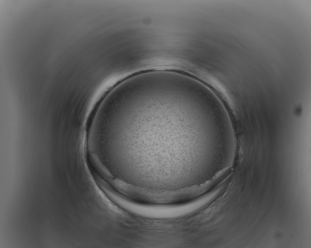 X0000094781472200711241328