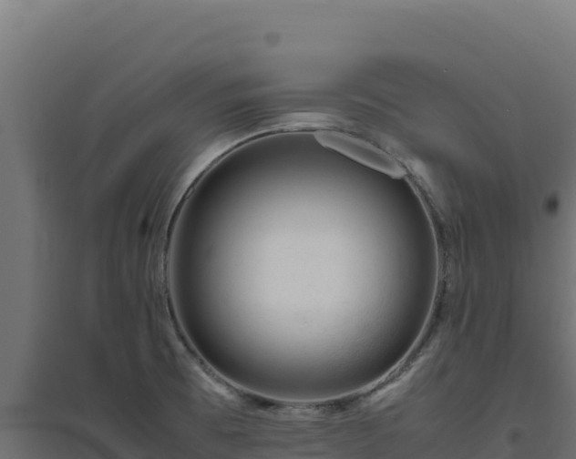 X0000094781473200711241328
