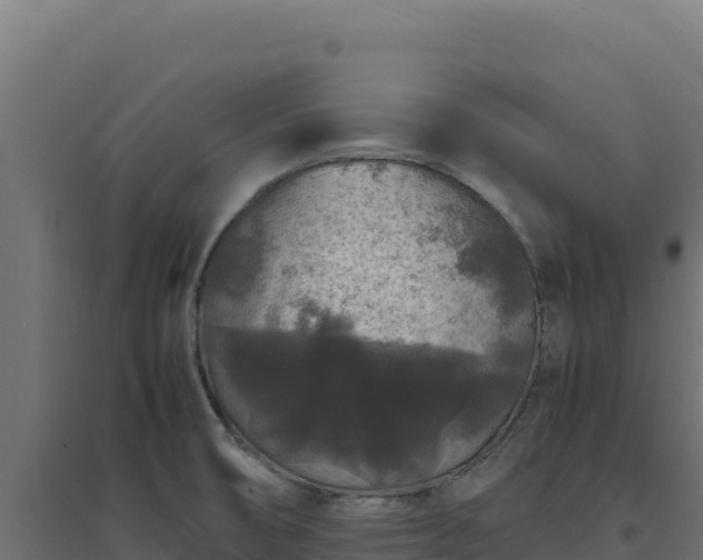X0000094781474200711241328