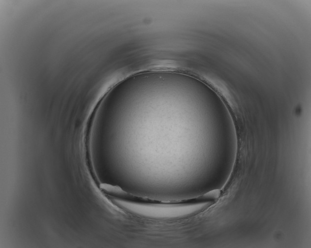 X0000094781475200711241328