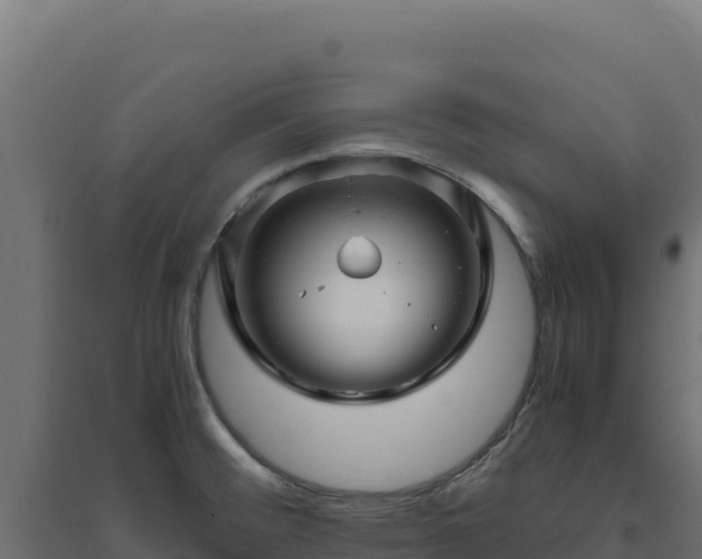 X0000094781476200711241328
