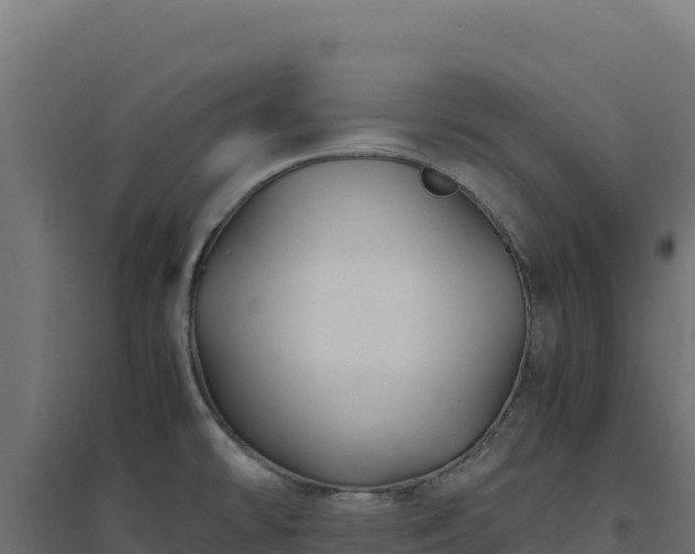 X0000094781478200711241328