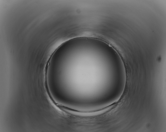 X0000094781479200711241328