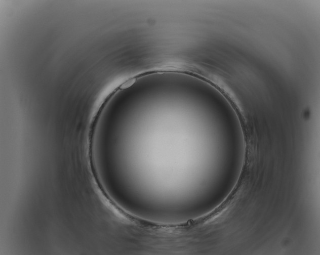 X0000094781480200711241328
