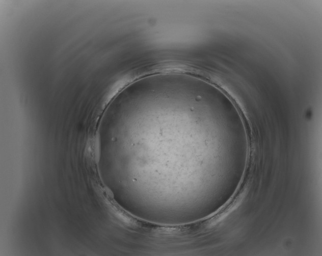 X0000094781481200711241328