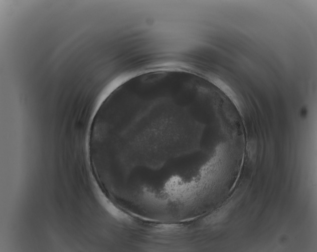 X0000094781482200711241328