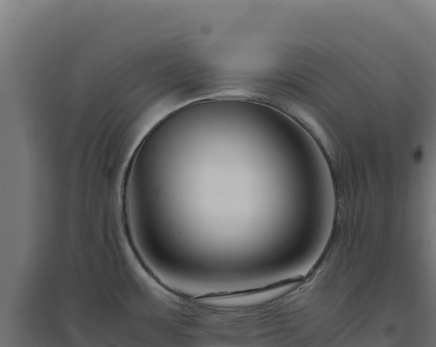 X0000094781483200711241328