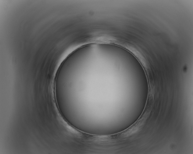 X0000094781486200711241328