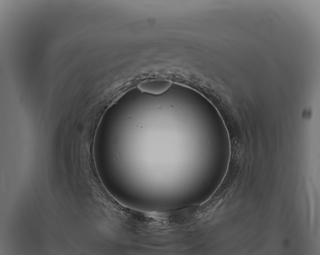 X0000094781489200711241327