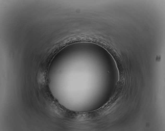 X0000094781490200711241327