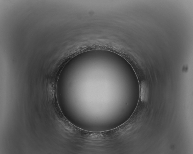 X0000094781491200711241327