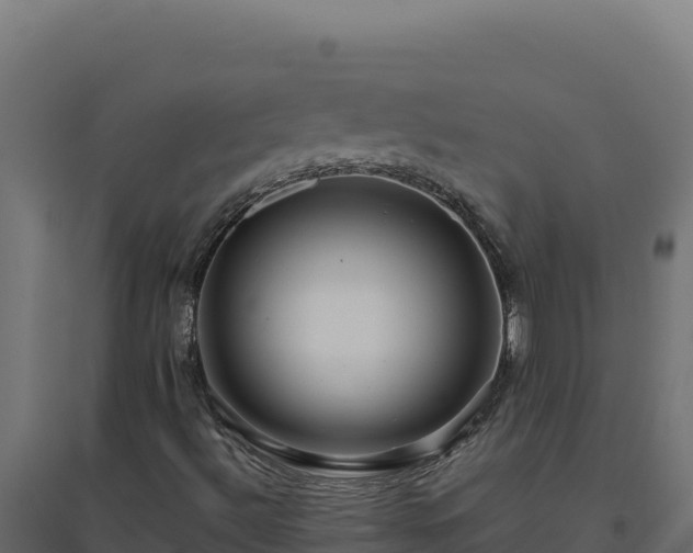 X0000094781492200711241327