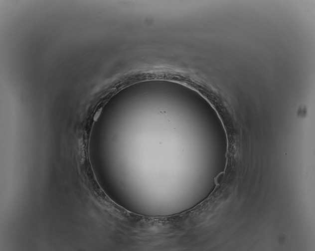 X0000094781493200711241327