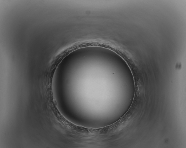 X0000094781494200711241327
