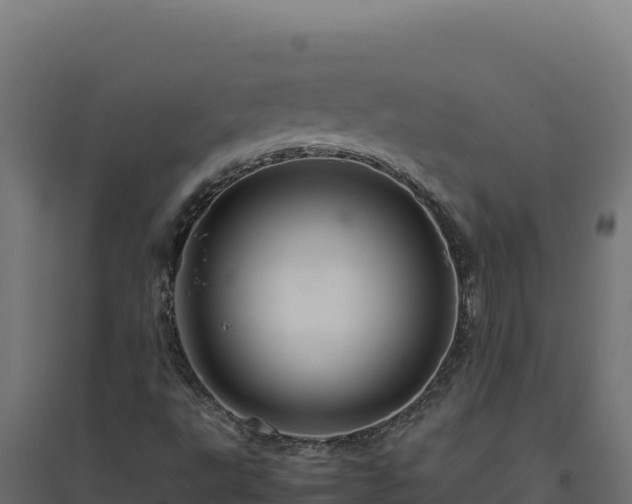 X0000094781495200711241327