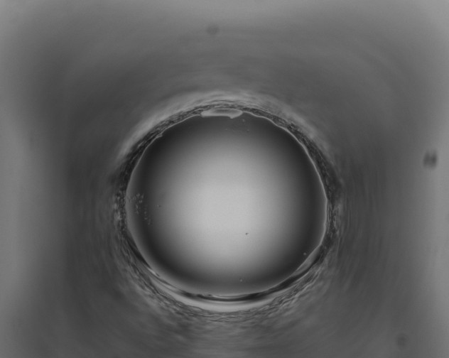 X0000094781496200711241327