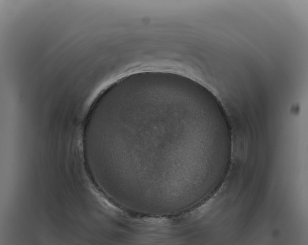 X0000094781498200711241327