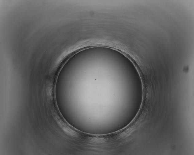 X0000094781499200711241327