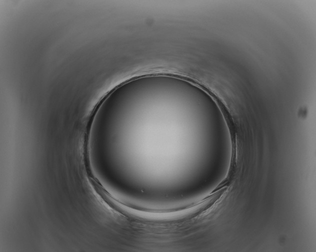 X0000094781500200711241327