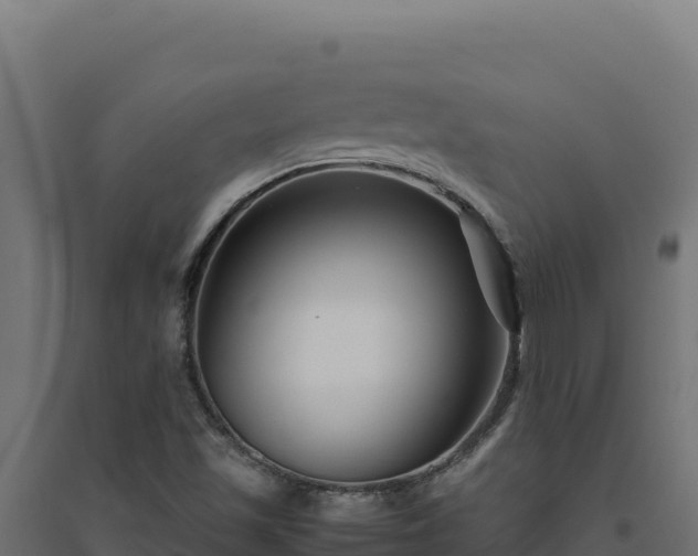 X0000094781501200711241327