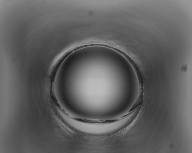 X0000094781502200711241327