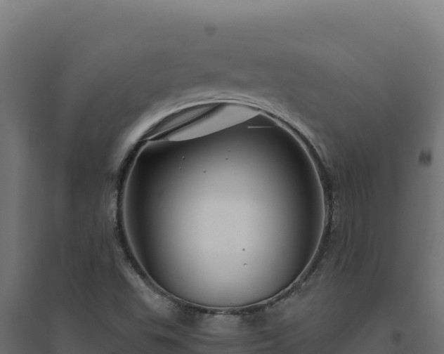X0000094781503200711241327