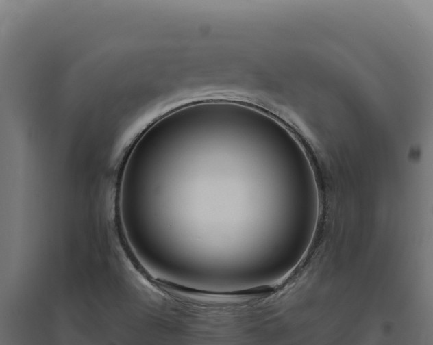 X0000094781504200711241328