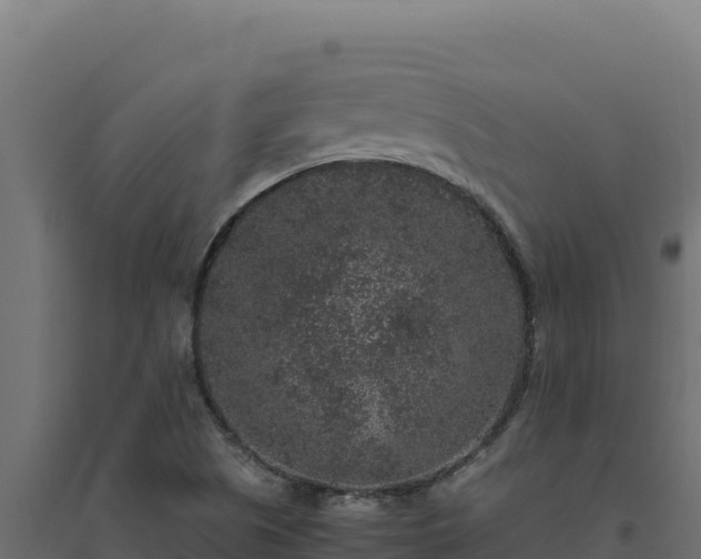 X0000094781505200711241328