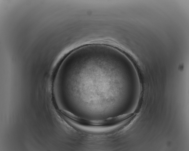 X0000094781506200711241328