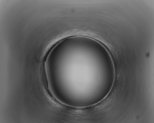X0000094781507200711241328