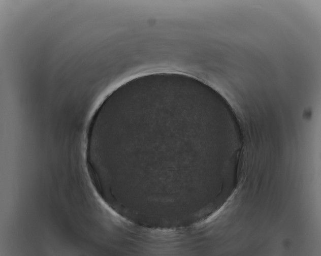 X0000094781508200711241328