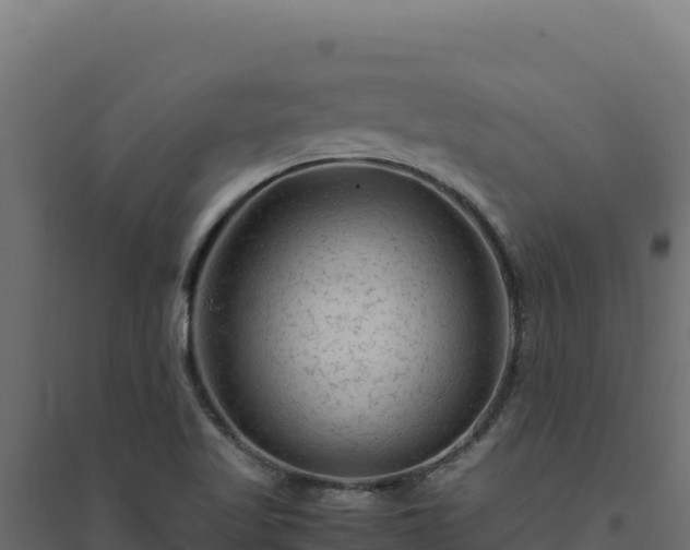 X0000094781509200711241328
