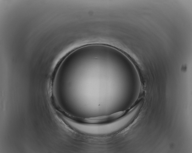 X0000094781510200711241328