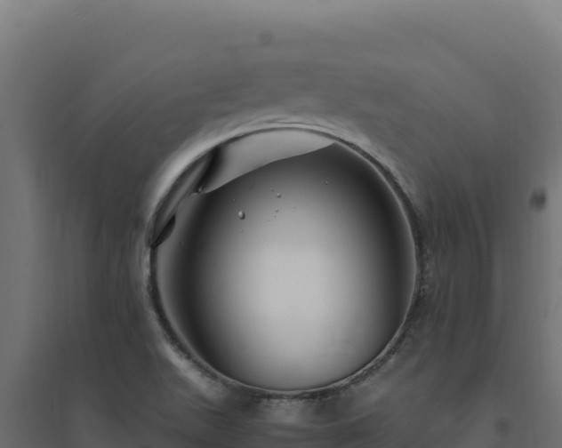 X0000094781511200711241328
