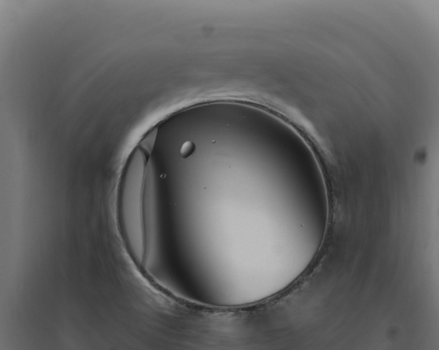 X0000094781512200711241328