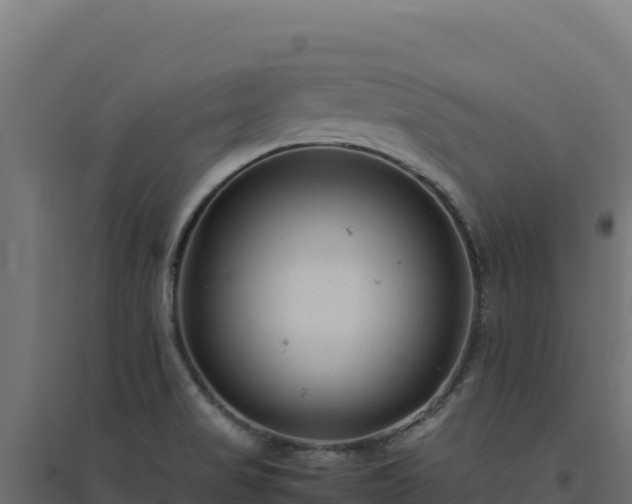 X0000094781517200711241328