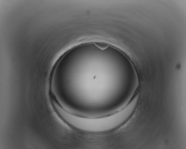 X0000094781518200711241328