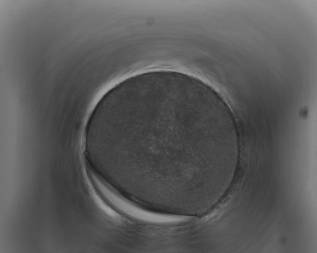 X0000094781519200711241328
