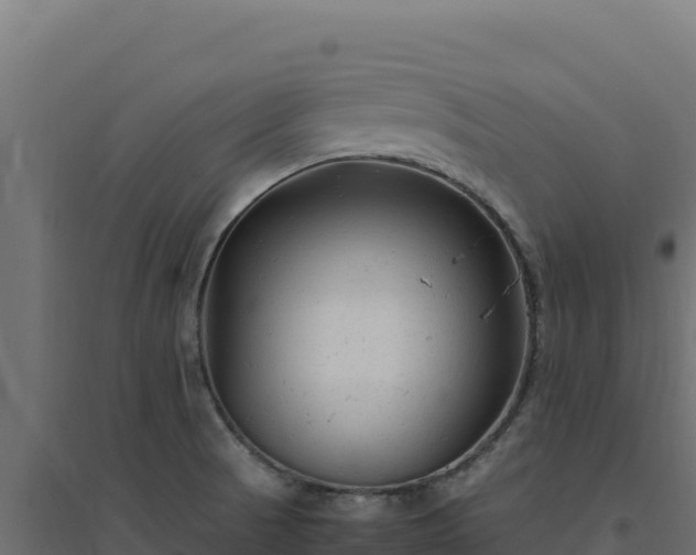 X0000094781521200711241328
