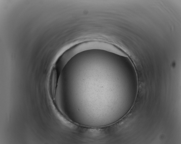 X0000094781523200711241328