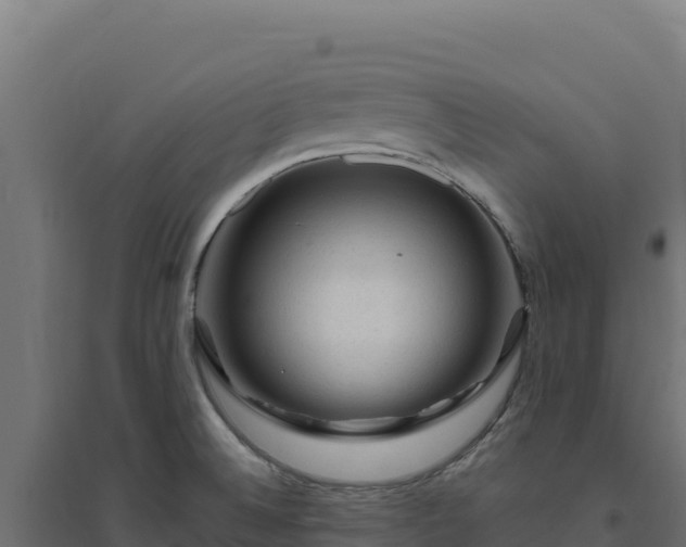X0000094781524200711241328