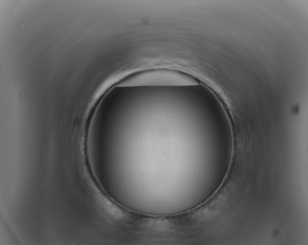 X0000094781525200711241328