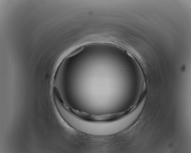 X0000094781528200711241328