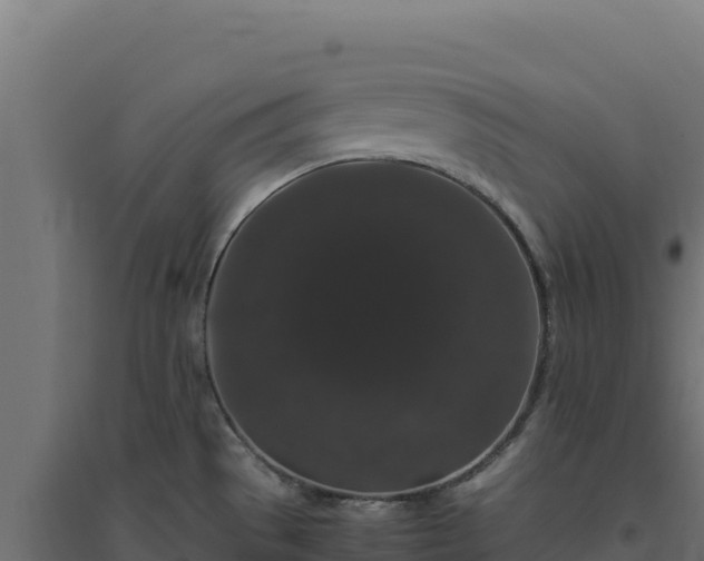 X0000094781529200711241328