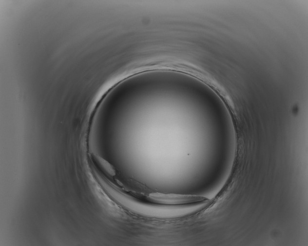 X0000094781530200711241328
