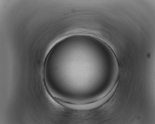 X0000094781531200711241328