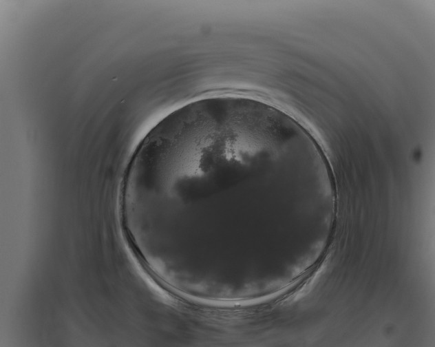X0000094781533200711241328