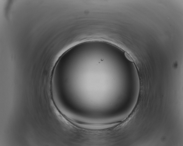 X0000094781534200711241328