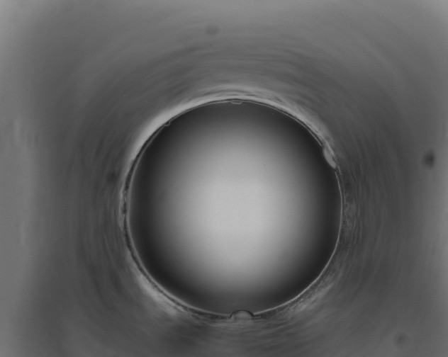 X0000094781535200711241328
