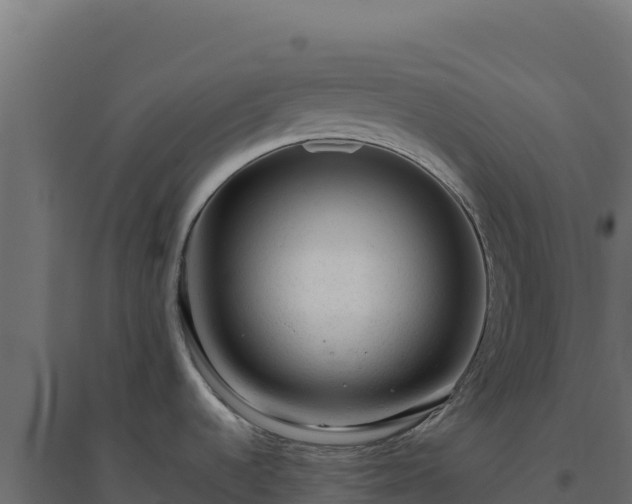 X0000094781536200711241328